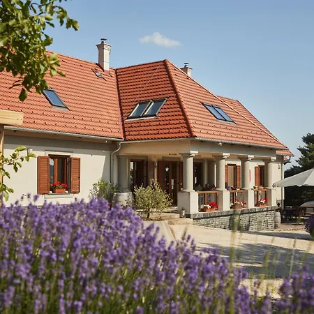 Villa Tolnay Vendégház-3